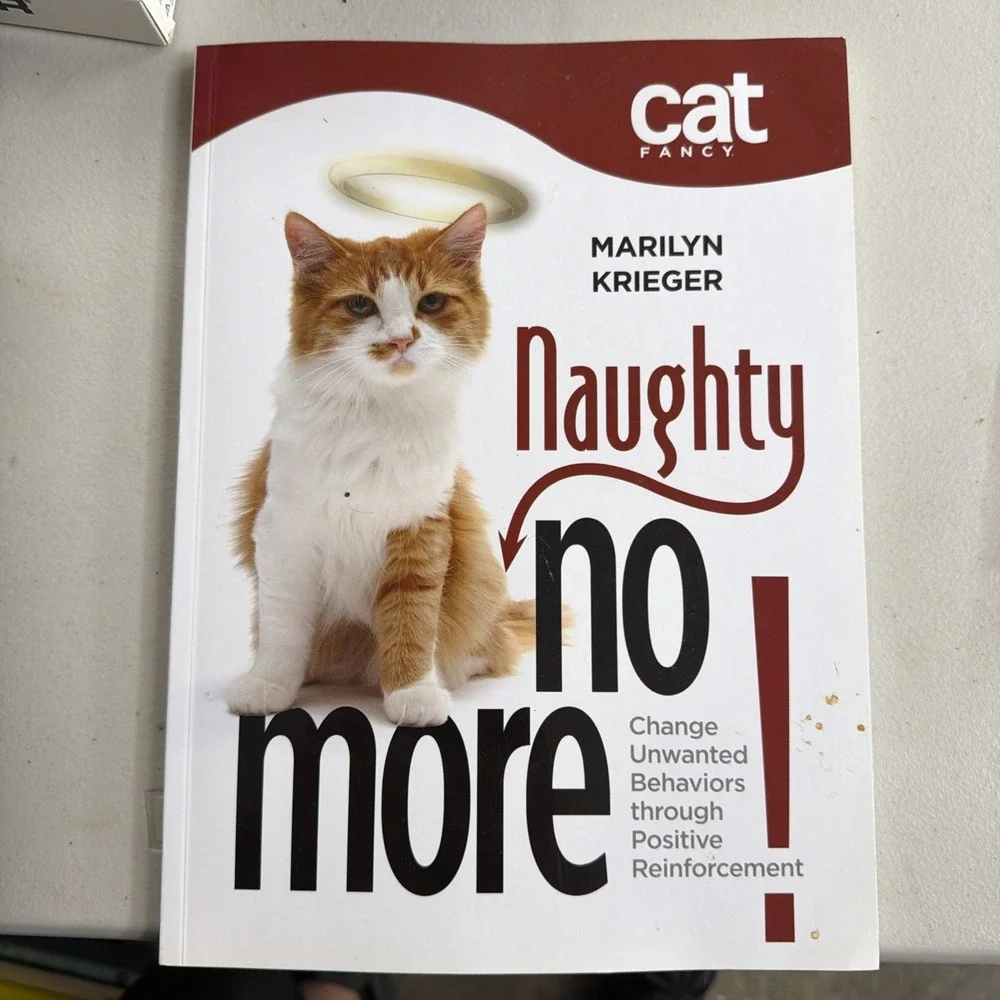 Naughty No More!: Change Unwanted Behaviors through Positive Reinforcement (...‎